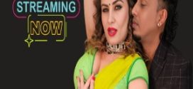 Spicy Wife 2024 Hindi NeonX Short Films 720p HDRip Download