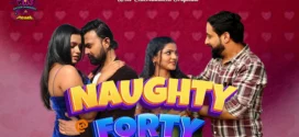 Naughty @40 (2024) S01E01T02 WowEntertainment Hindi Web Series WEB-DL H264 AAC 1080p 720p Download