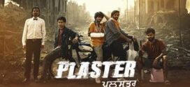 Plaster (2024) S01 Punjabi HDRip H264 AAC 1080p 720p 480p ESub