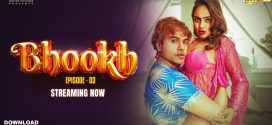 Bhookh (2024) S01E03 MoodX Hindi Web Series 720p HDRip H264 AAC 200MB Download