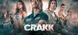 Crakk 2024 Hindi Movie 720p WEB-DL 1Click Download