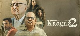 Kaagaz 2 2024 Hindi Movie 720p WEB-DL 1Click Download