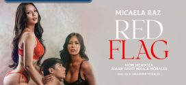 Red Flag (2024) VivaMax Filipino WEB-DL H264 AAC 1080p 720p ESub